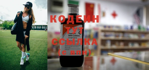 дмт Богородск