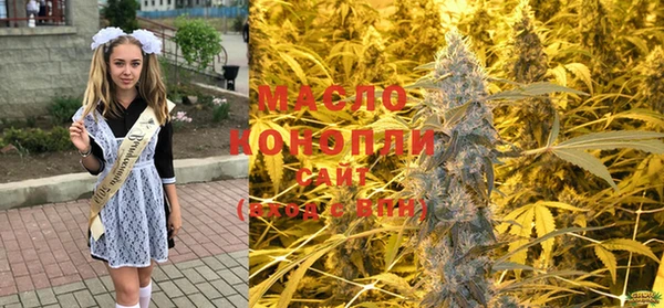 дмт Богородск