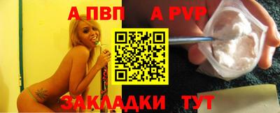 стафф Кингисепп