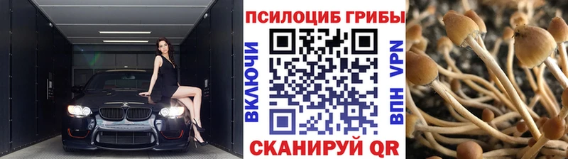 Псилоцибиновые грибы прущие грибы Дальнегорск