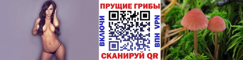 Галлюциногенные грибы прущие грибы  Дальнегорск 